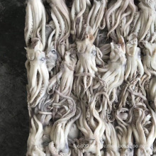 High Quality Frozen Illex Squid Head Squid Tentacle